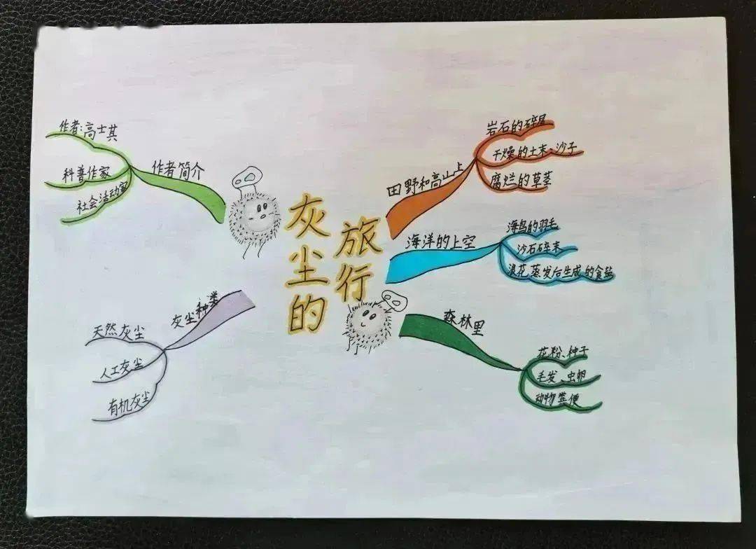 学生成长 绘知识导图 显阅读智慧