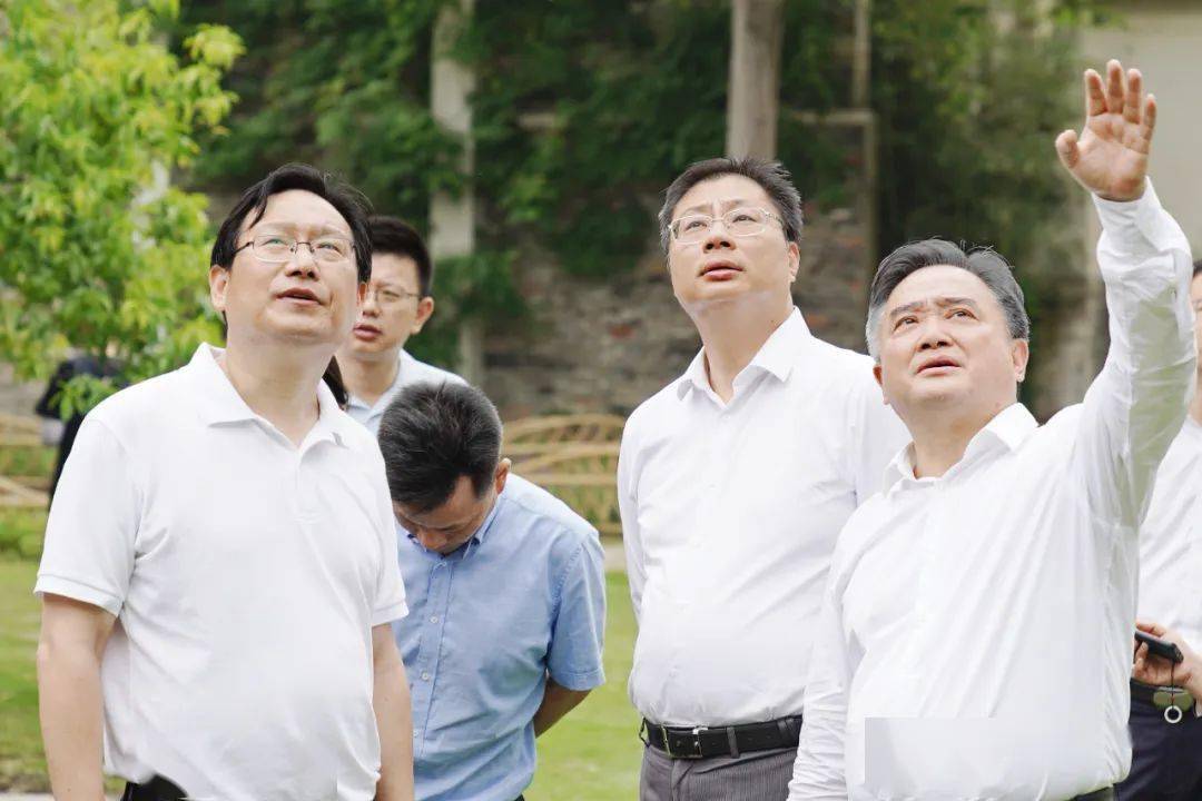 苏州名城集团党委书记,董事长孙黎峰来相城调研古镇老