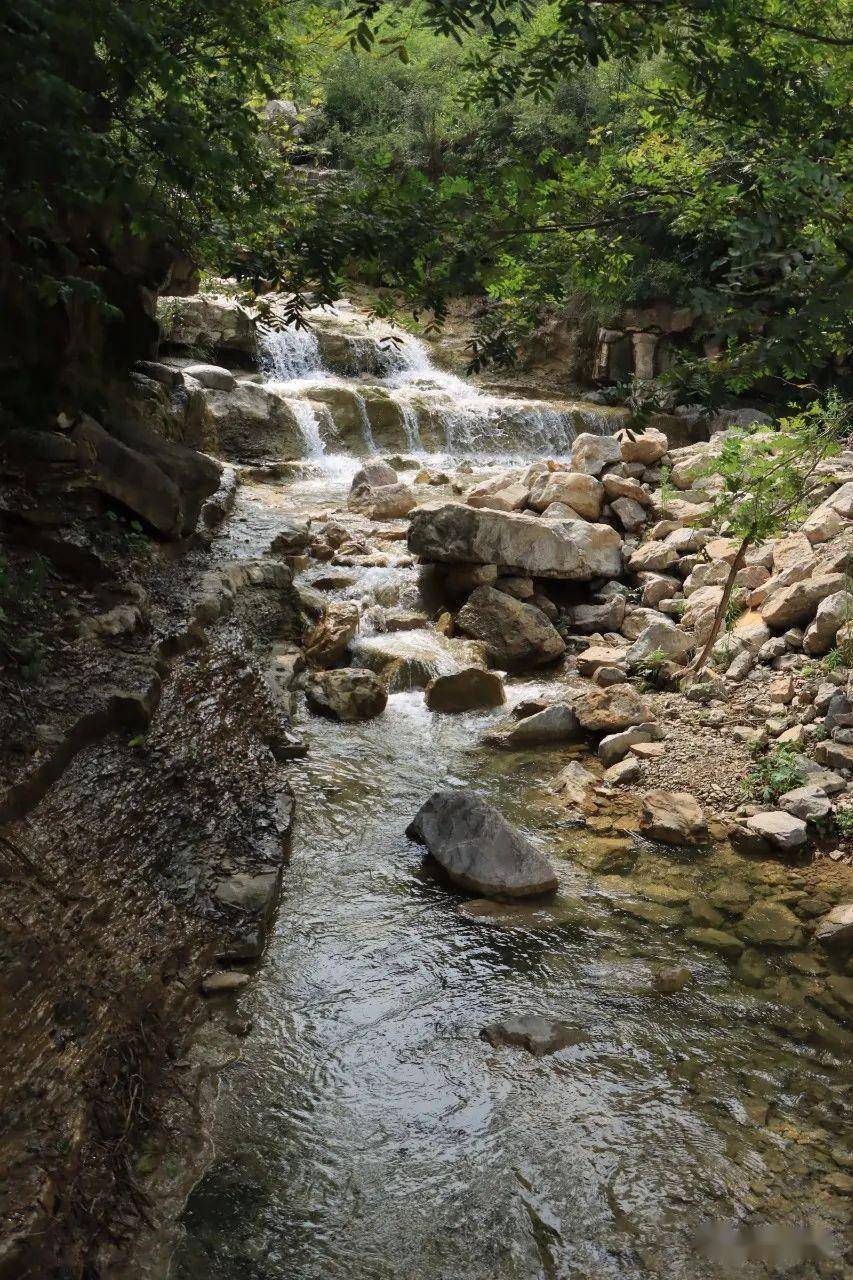不要门票!这里是临朐石家河!_花海_摄影_资料