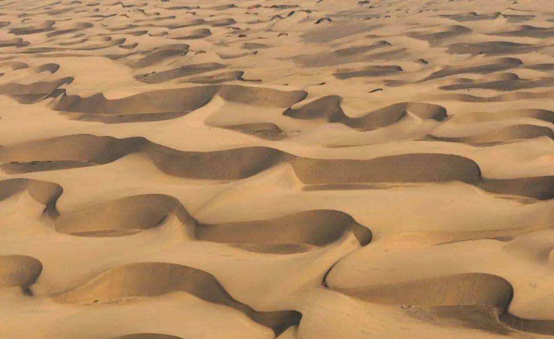 风力堆积地貌(沙丘)的成因当携带着大量泥沙的河流进入海洋时,如果