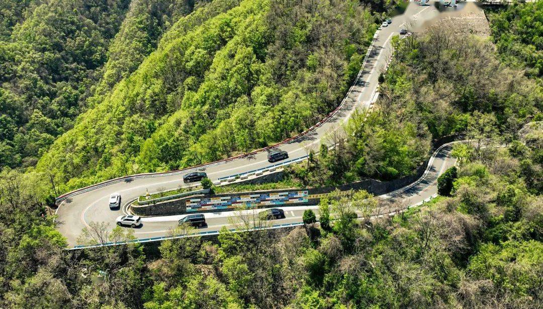 首届"河南最美公路"评选活动邀你给洛阳公路投票!_嵩县_管理_交通