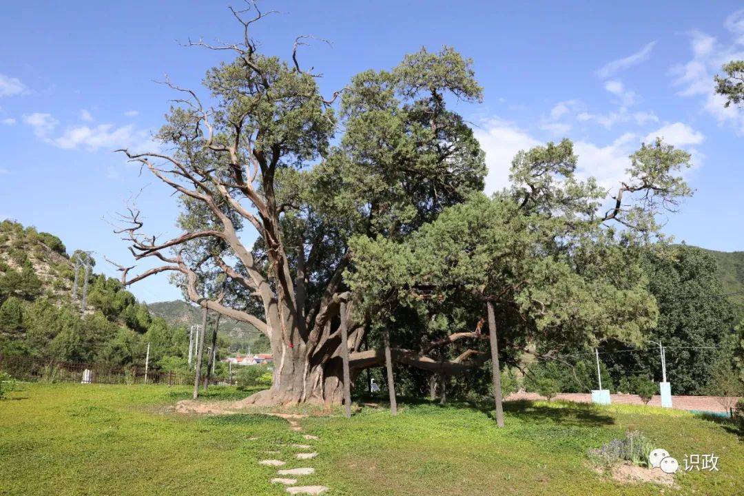 密云水库不远处的溪翁庄镇金叵罗村引入城市创客团队,大力发展乡村
