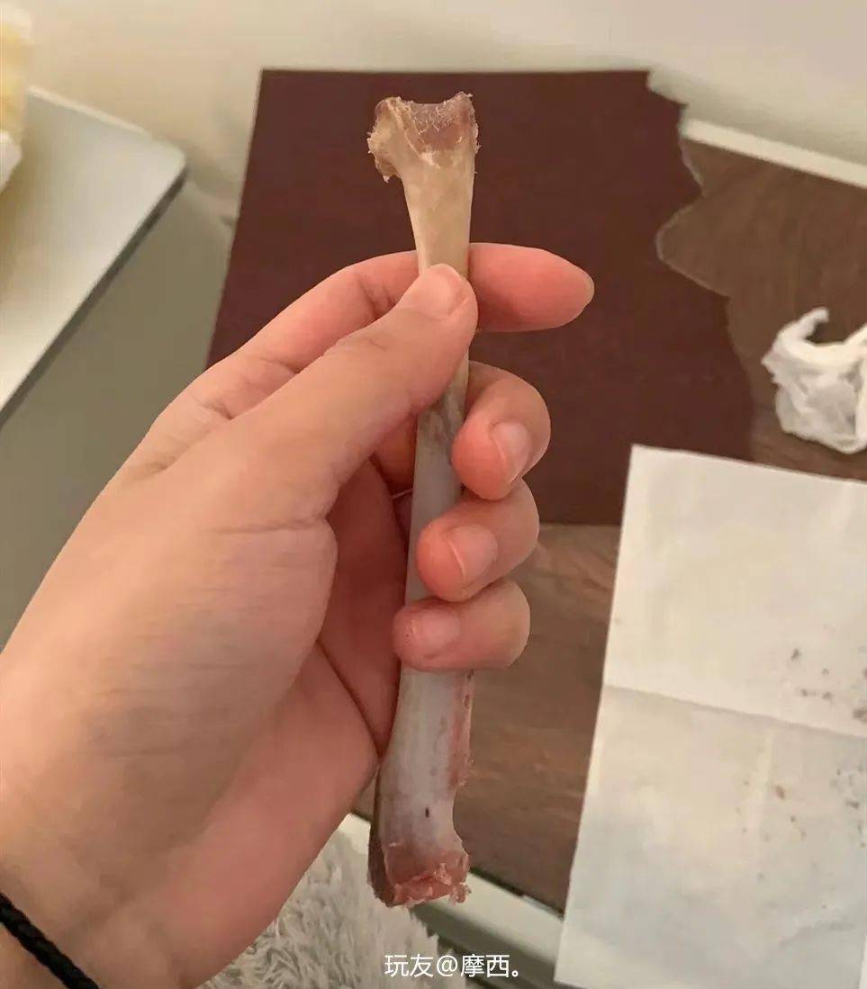 30块吃的烤羊腿,剩的腿骨做骨笛竟然卖了98!_骨头_文玩_玩友