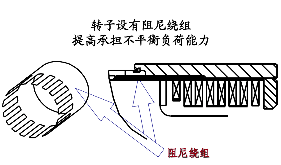 阻尼绕组图片