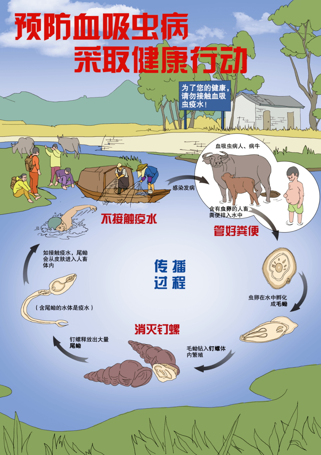 血吸虫尾蚴性皮炎图片