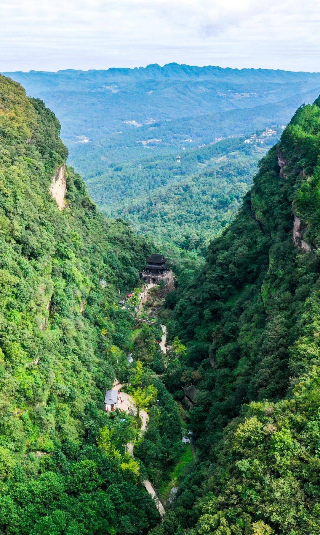 剑门关鸟道摔死人图片