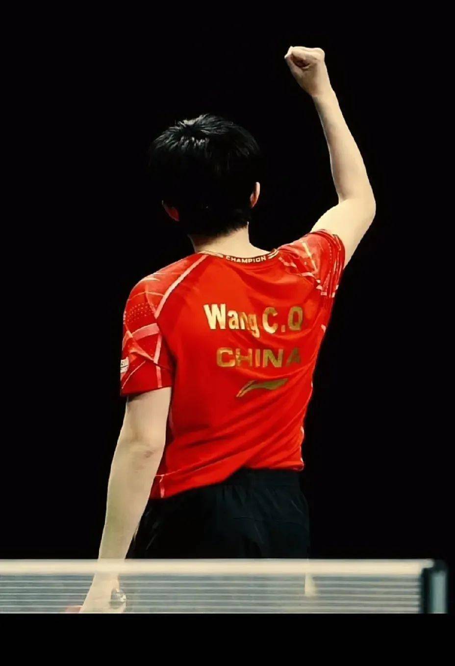 喜欢看王楚钦打球,场上霸气十足,有血性,充满激情,观赏性极强_樊振东