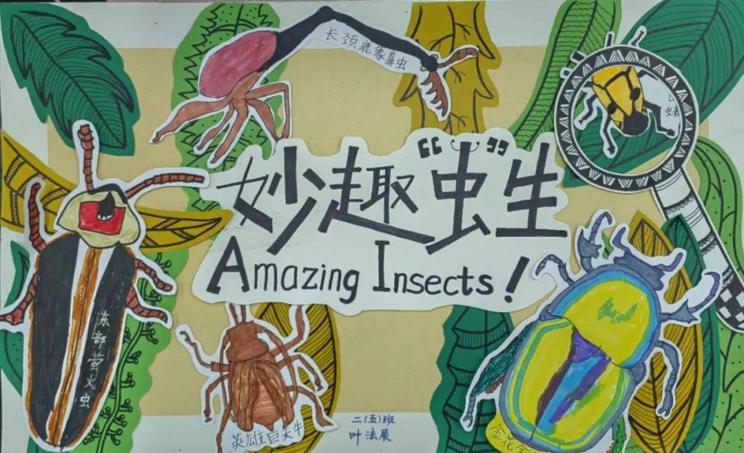 昆虫保护宣传画三年级图片