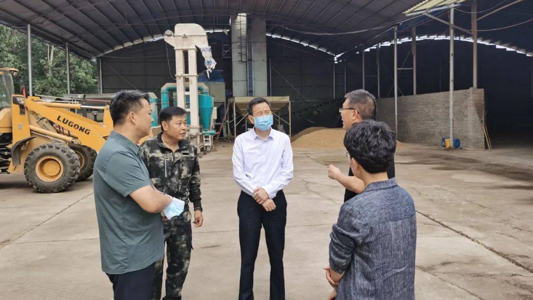 牛书军到沁阳市督导调研"三夏"工作_小麦_情况_企业