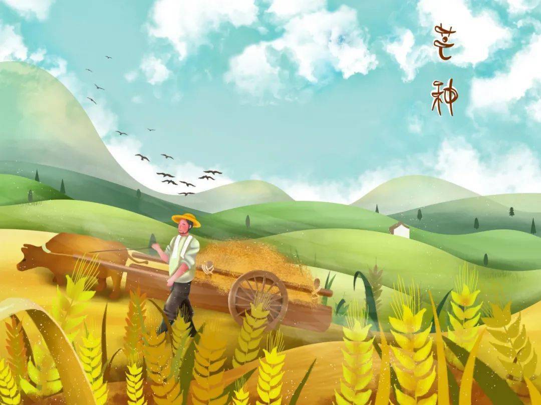 今日芒种：芒种忙种，一举高中（唐元稹芒种看今日）