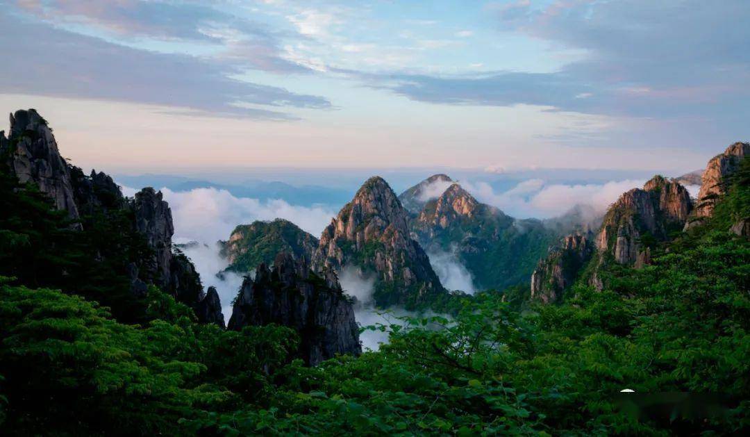 李琴 摄荣志宏 摄汪迎丰 摄苏青 摄汪迎丰 摄叶小琴 摄张宁 摄李琴 摄