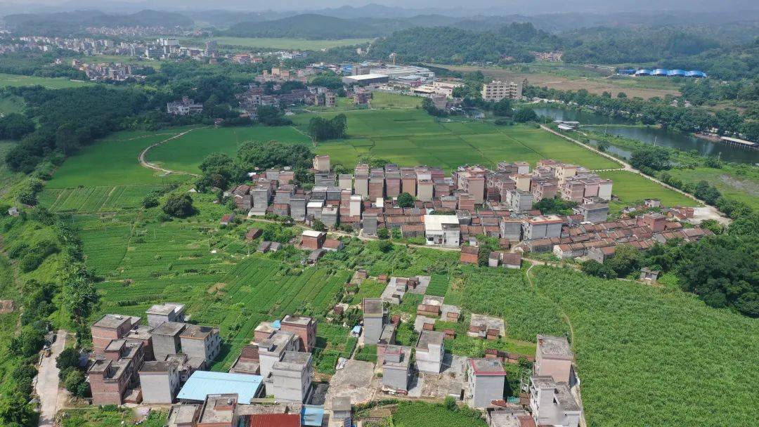 新兴县车岗镇:昔日荒地披上"绿衣" 换上"新颜"_工作思路_耕地_发展