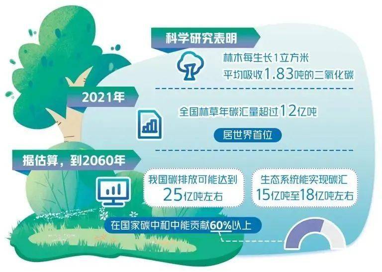 在日前举行的林草碳汇创新国际论坛上,记者采访了有关专家.