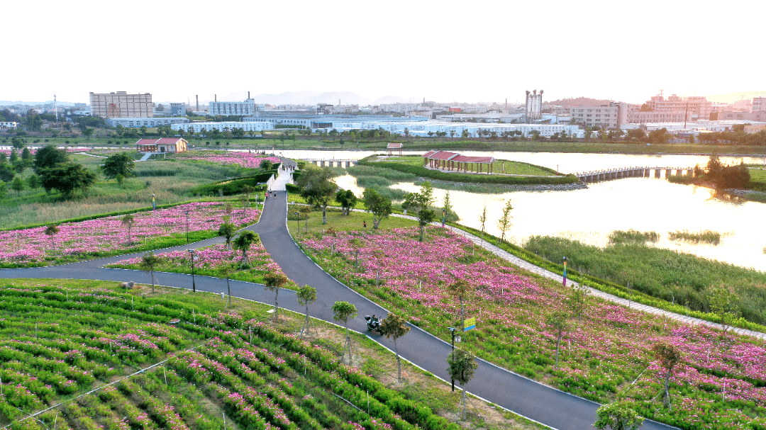 15亿!泉港坝头溪颜值再刷新!_泉港区_生态_水质