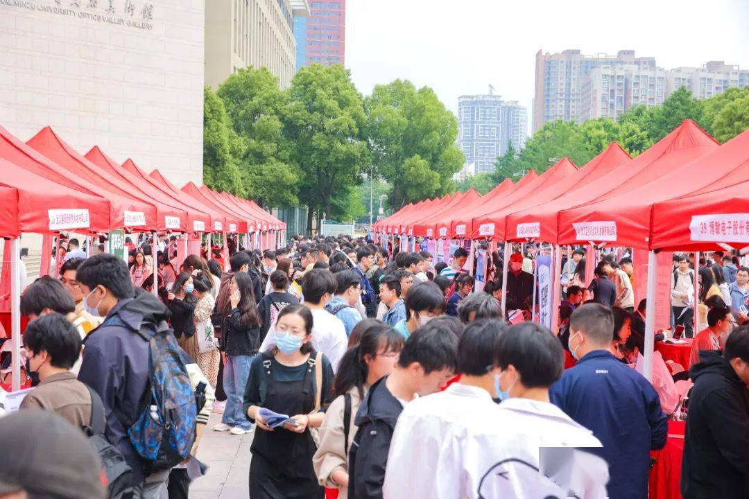 大学生找工作没经验?别慌……_就业_企业_李晴