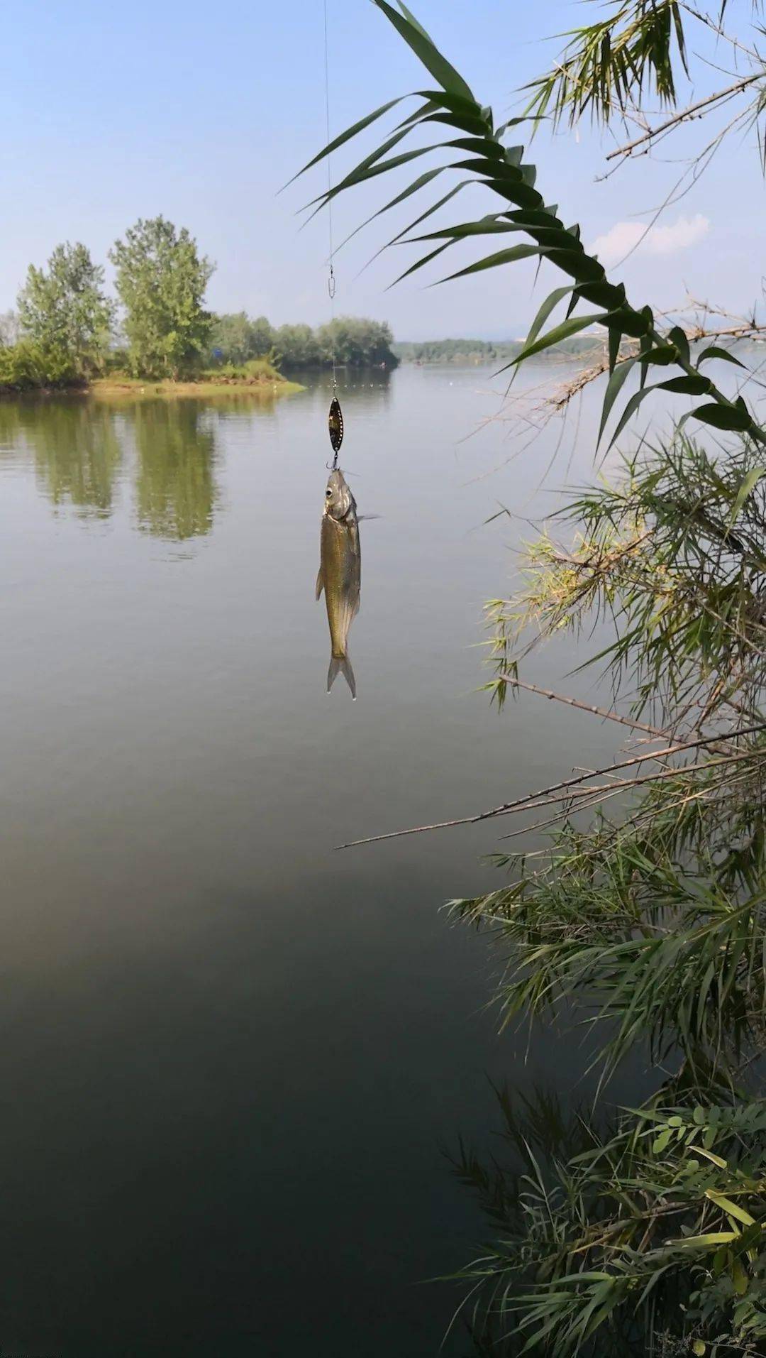 我在升钟湖玩路亚_标点_过程_同伴