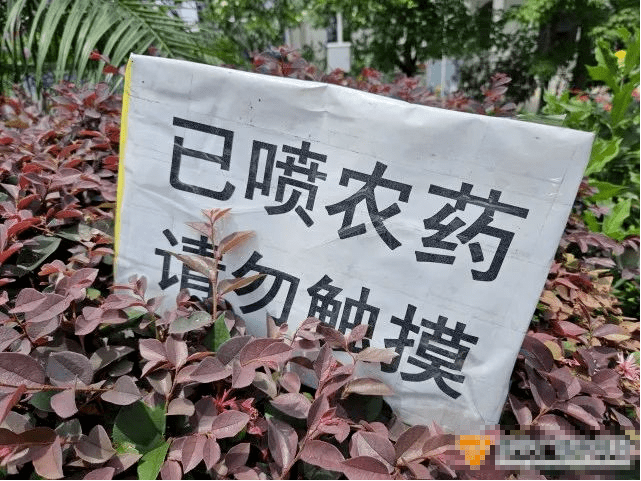 其中,以夏秋为最盛.果期一般在冬春季.