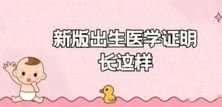 新版出生医学证明&办理指南_镇痛_管理_子宫