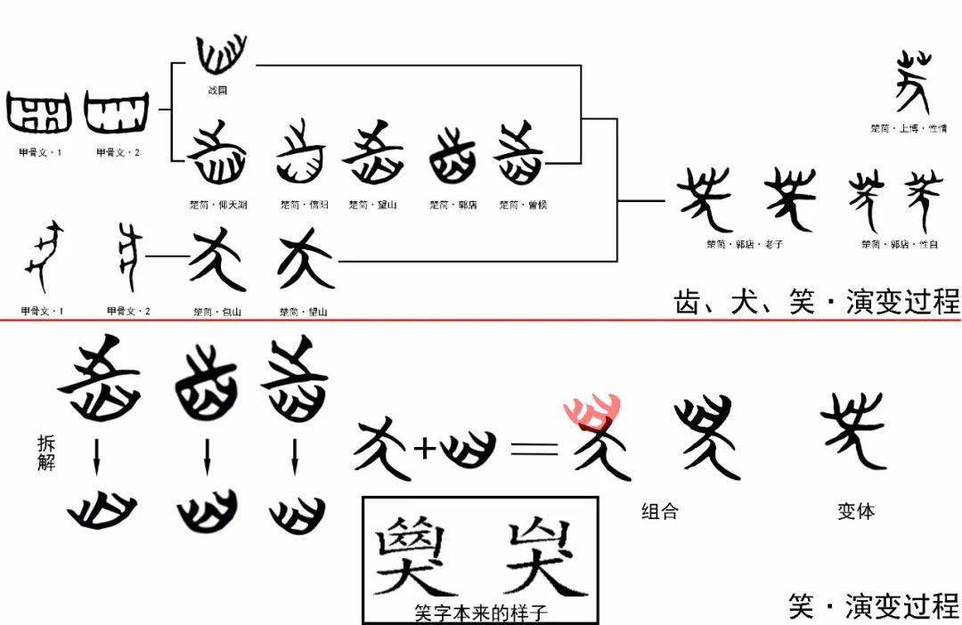 狗露牙齿抽象篇字源演变说文解字"笑"xiào,会意字,从齿(下部)从犬,