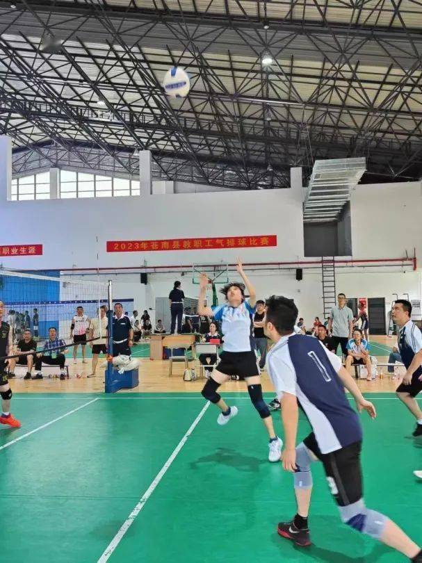 钱库三小喜获2023年苍南县教职工气排球比赛混合组亚军