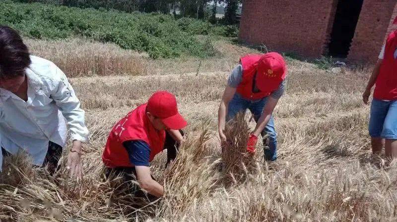 6月7日,县委宣传部驻瓦屋头镇霍子寨村第一书记郭少松和工作队员发动
