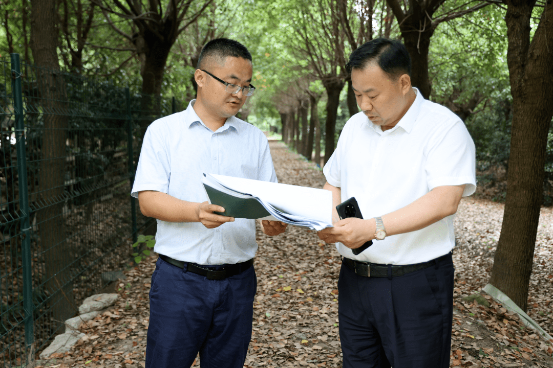 镇领导调研七都公园规划设计和七都市集建设情况_蔡建忠_项目_原生态