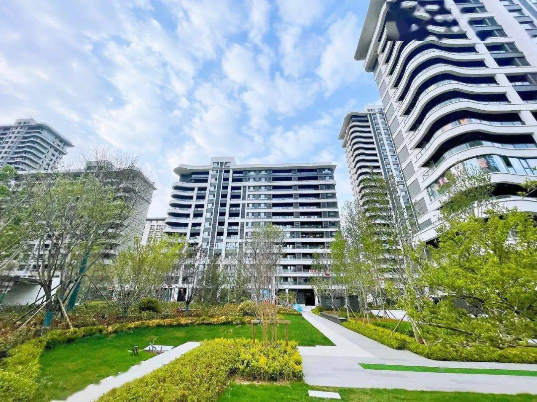 1,本项目推广名为"青建·颐乐·尚东郡",开发商为高密市颐乐建设发展