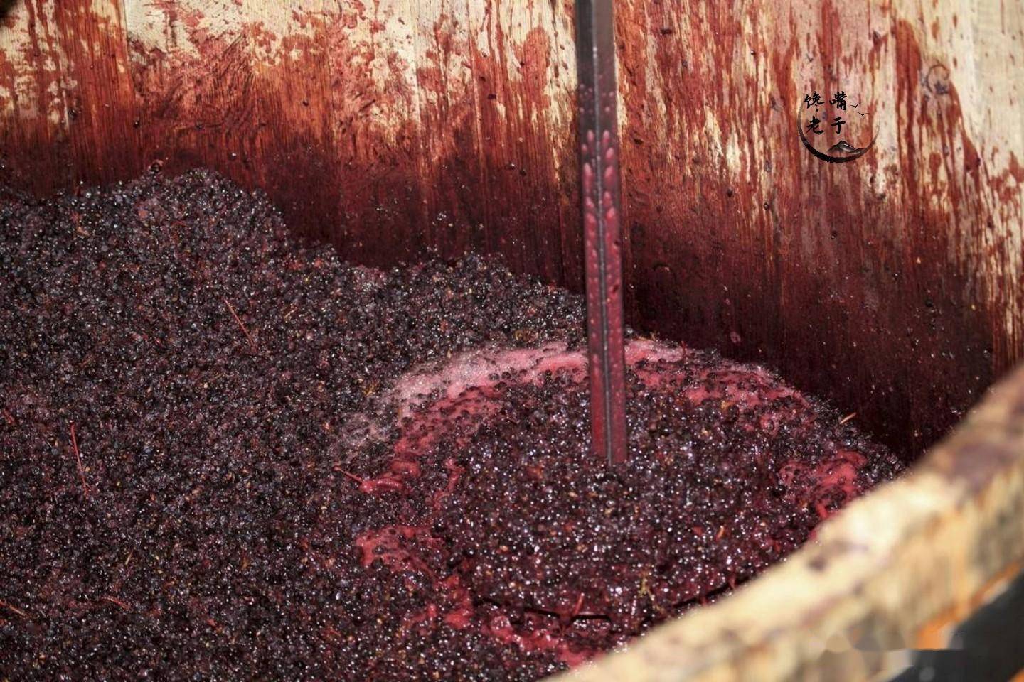 所以,用脚踩葡萄可以减少因细菌等因素,从而引起污染葡萄酒的状况.