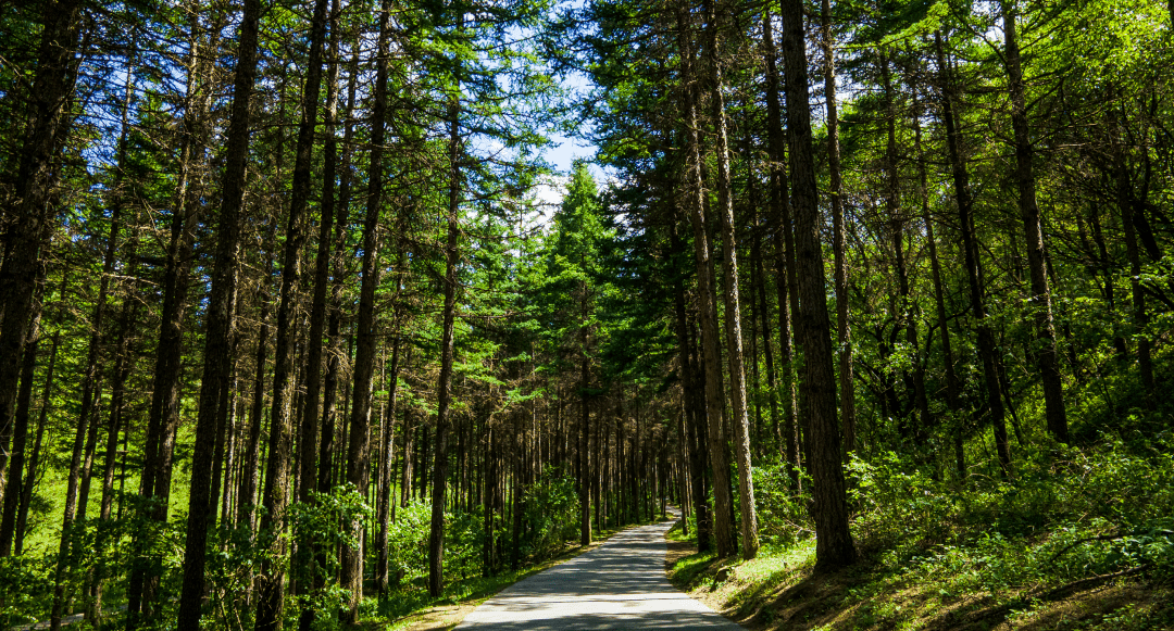 犹如一颗"绿色明珠"闪耀着梦想光芒形成了天然磅礴大气的水景风光在