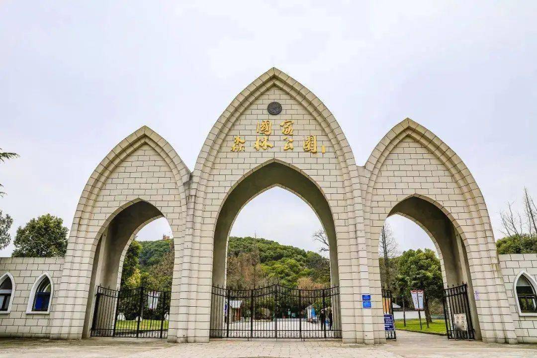 这些景区对65岁以上老人免费开放!不看亏大了_管理_上海市_门票