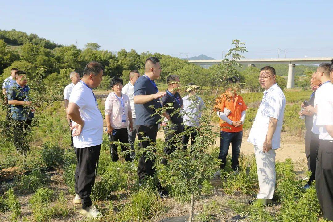 博山区石马镇现任镇长图片