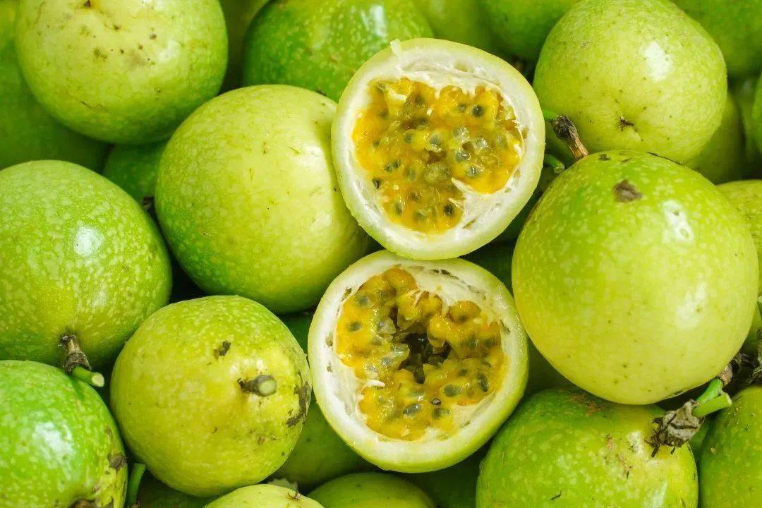 黄金百香果,葡萄,西瓜……里水摘果地图上新!走起!_水乡_菜园_攻略