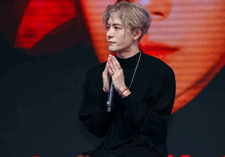 29 岁的王嘉尔,此前是 2014 年 1 月成立的韩国男子组合 got7 的成员.