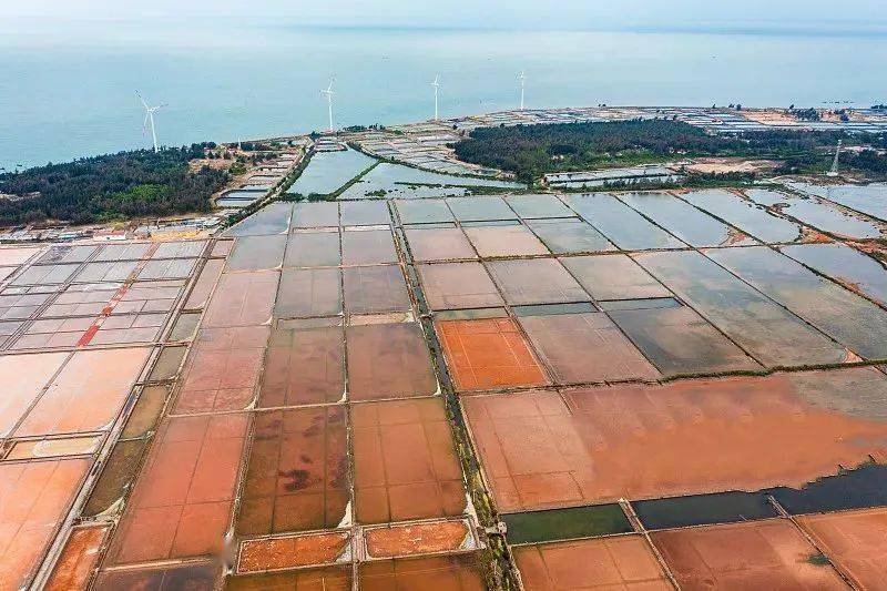 南极秘境3日】湛江南极村 硇洲岛 菠萝的海 雷州古城