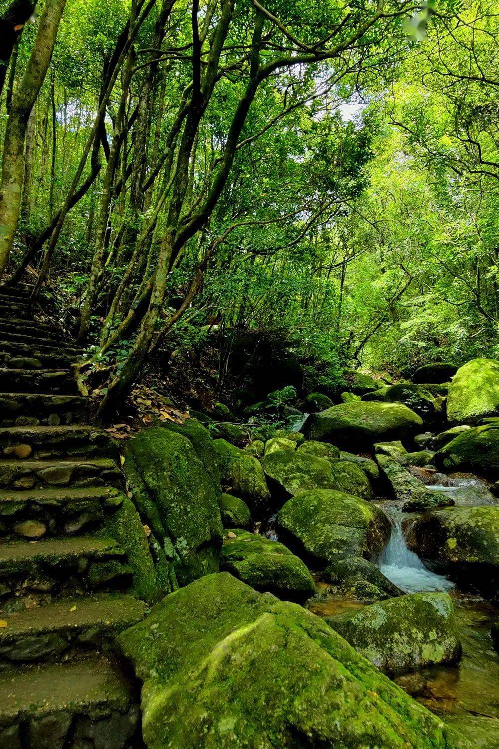 高考福利 | 高州仙人洞-免门票-给高考生们休闲放松,缓解压力!