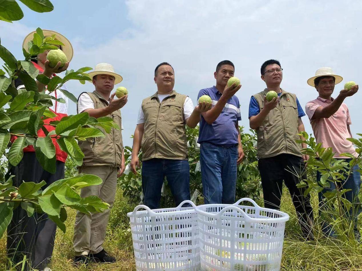 此次武兴食品公司有翅脯肉丸,沙鲈虾丸,牛肉丸,墨鱼丸,那哥鱼丸等5个