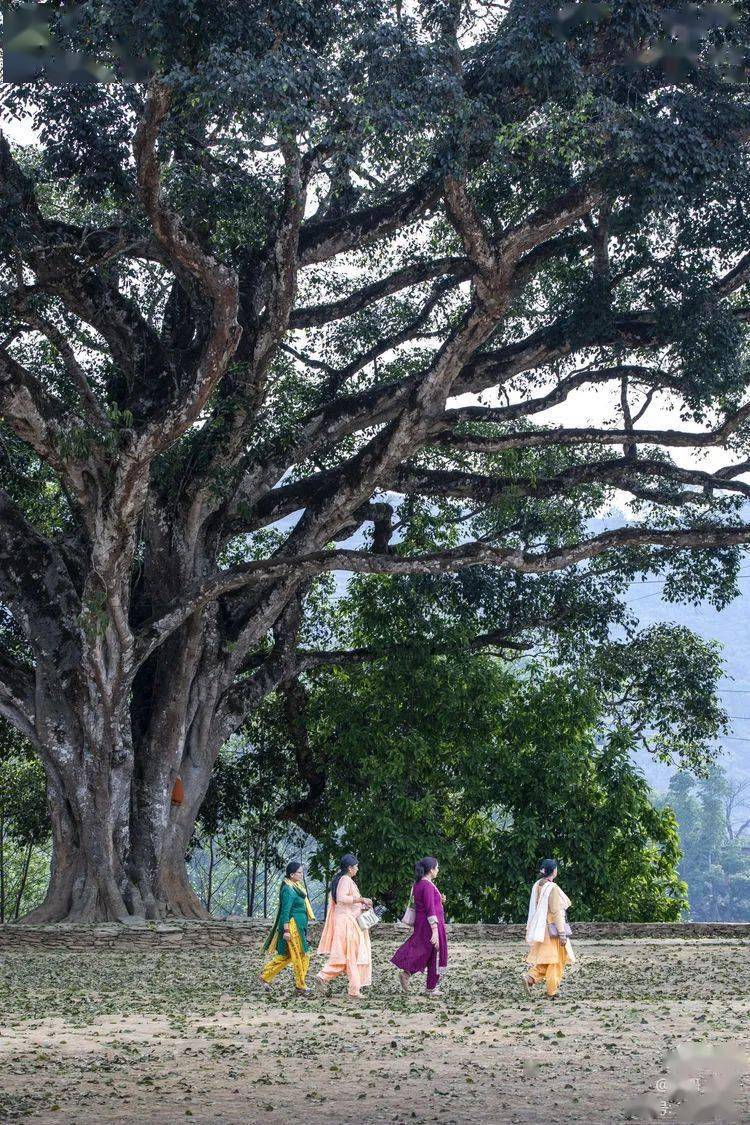 尼泊尔:恍若曾经的旧时光