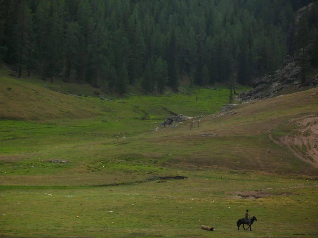 斯马胡力和海拉提两个也加紧剪羊毛的进程.