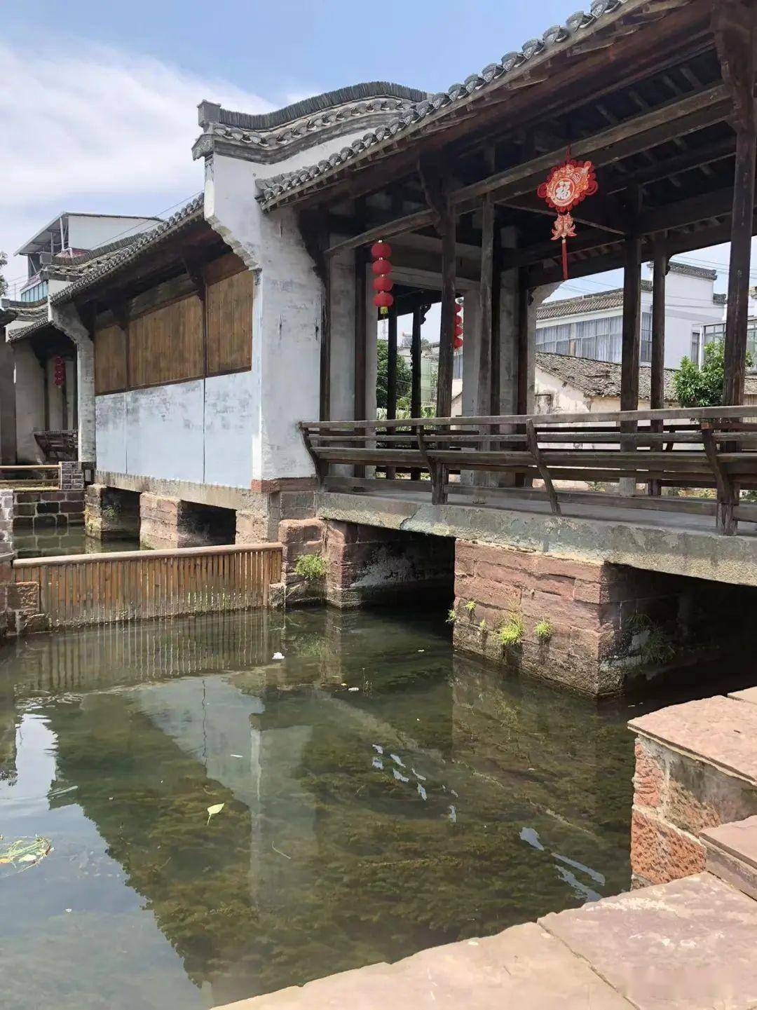 初夏炎炎日,漫步石桥村