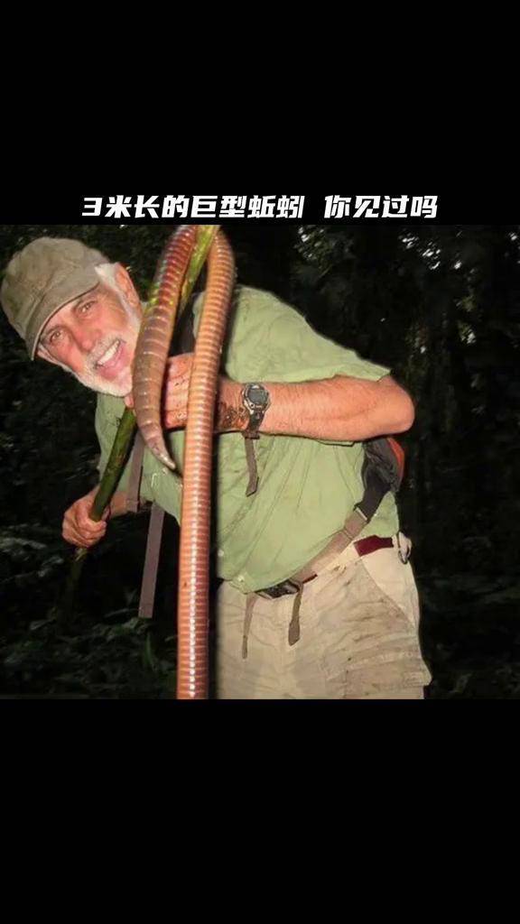 你见过身长3米的巨型蚯蚓吗?它们从恐龙时代活到现在.#知识科普