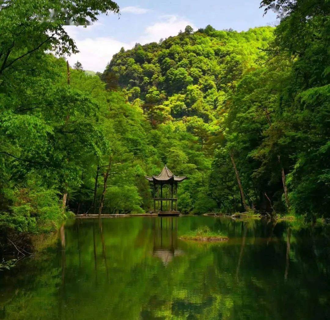 漢中自駕避暑指南,帶你收穫22℃的涼爽端午~_景區_華陽_森林