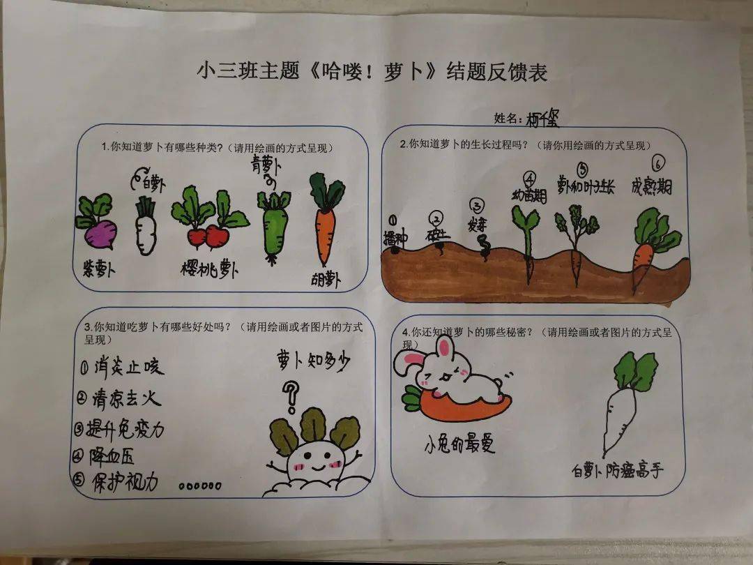 萝卜调查表幼儿园图片