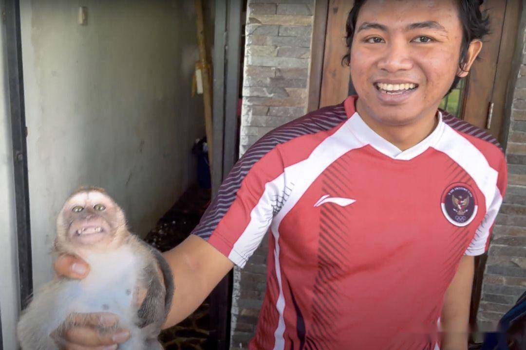 把猴子摔墙上,电钻钻穿脑袋,搅拌机绞死,外国这个虐猴群,终于灭了!