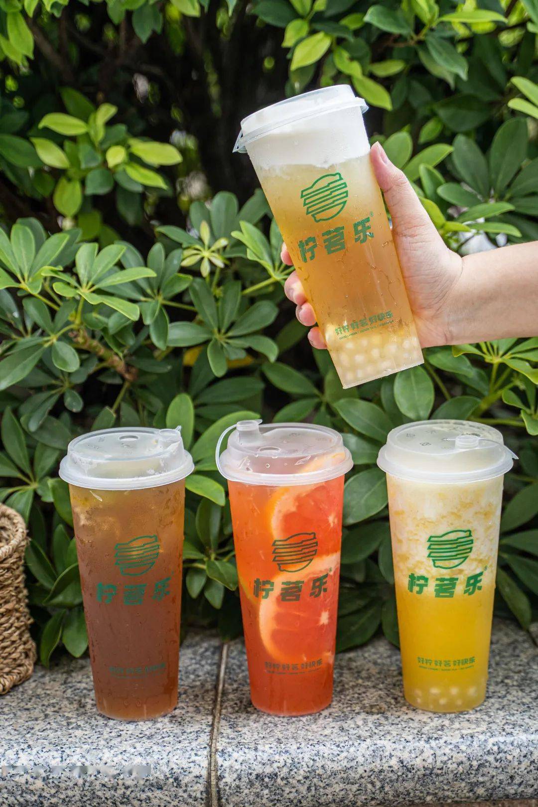 柠檬_蜜桃_museums