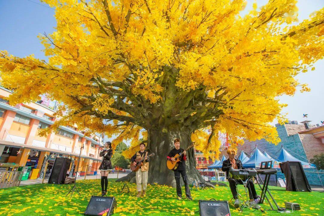 半价门票仅限2023届小学,初中,高中,中专,职高,全日制大专,本科毕业