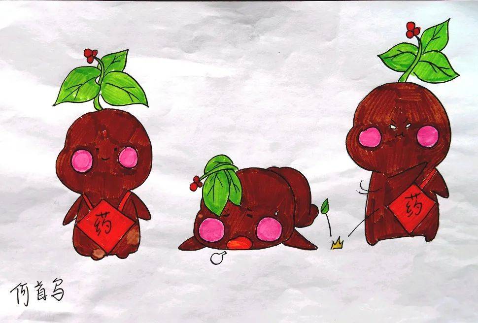 植物和中药材的辨识提升学生的职业素质和审美能力声明本文来源于齐鲁