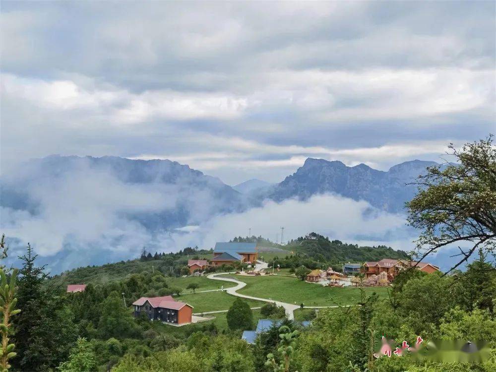 舟曲拉尕山到底有多美,去了才知道!_甘肃_张宝_宋菲菲