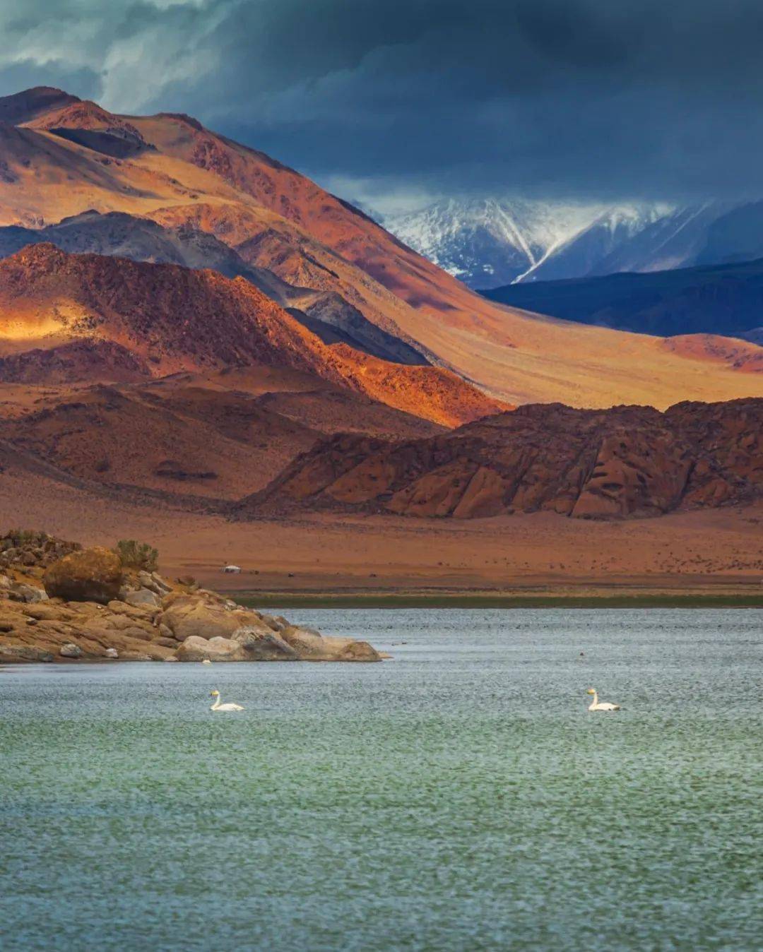 【住宿】:乌列盖特色酒店乘坐蒙古国内航班前往乌列盖,然后驾车前往