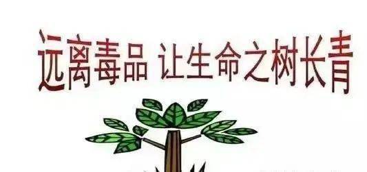 吸毒事例素材图片