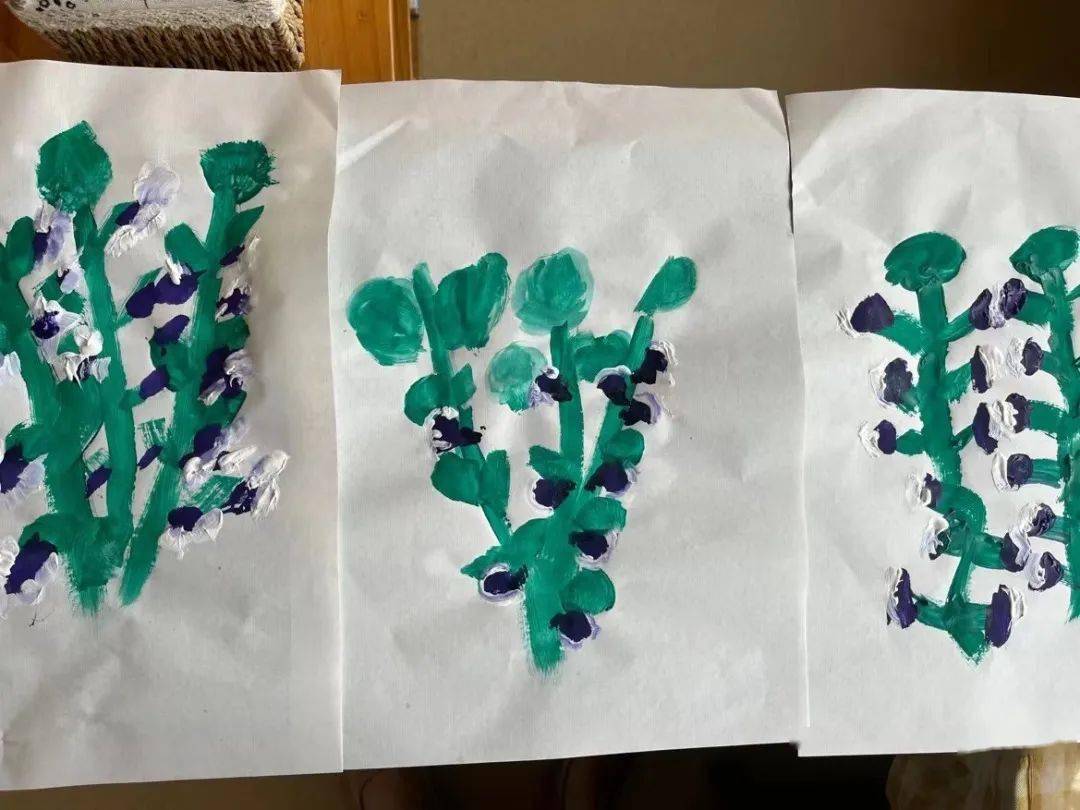 像个蝴蝶一样我知道我知道,这是蚕豆花,奶奶告诉我